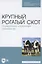 Крупный рогатый скот. Содержание, кормление, разведение. Учебное пособие для СПО — 2854408 — 1