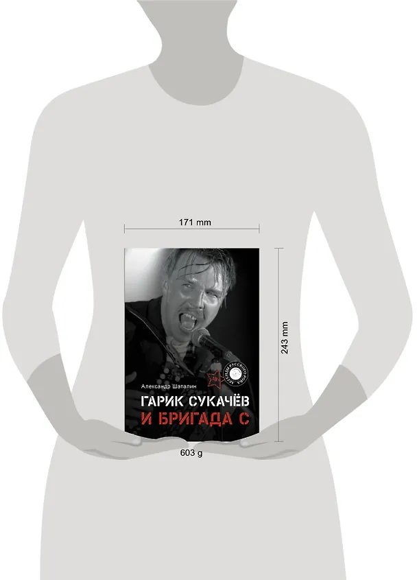 Книга Гарик Сукачёв и Бригада С (Александр Шаталин) — 10