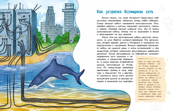 Книга История Интернета (Степан Кайманов) — 5