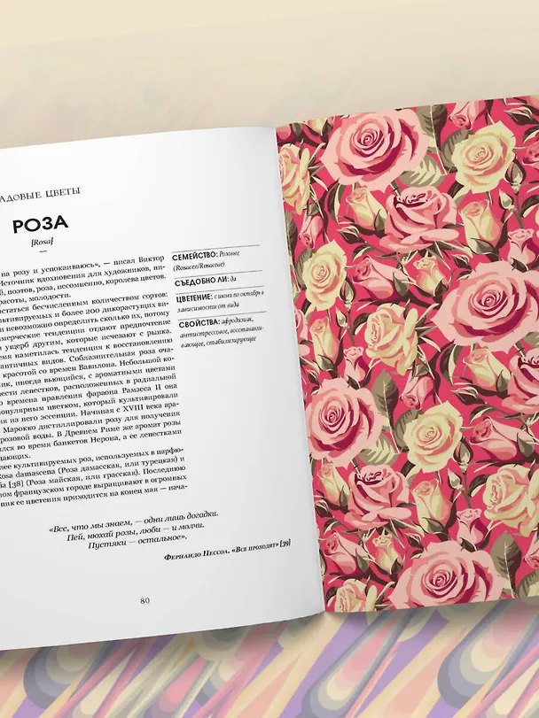 Книга Грамматика цветов. Иллюстрированный путеводитель по цветочной вселенной символов, лечебных свойств и применения растений (Симона Реканатини) — 11
