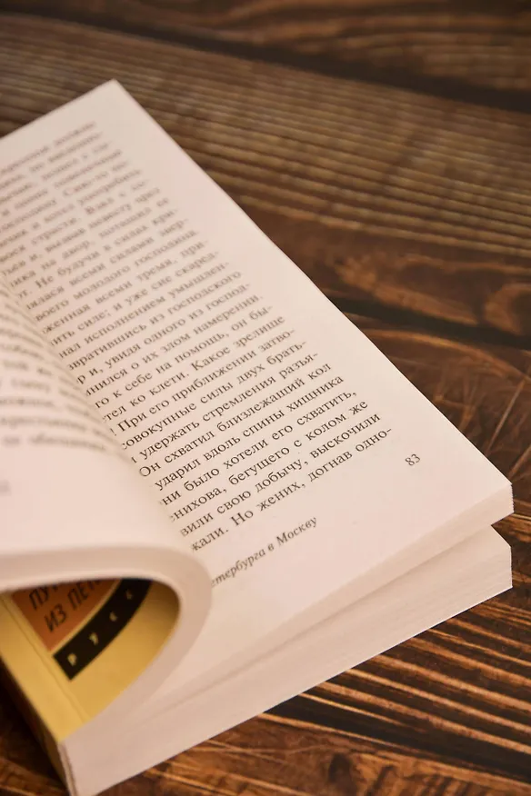Книга Путешествие из Петербурга в Москву (Александр Радищев) — 10