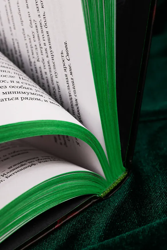 Книга Скверная. Специальное издание (Эмили Макинтайр) — 15