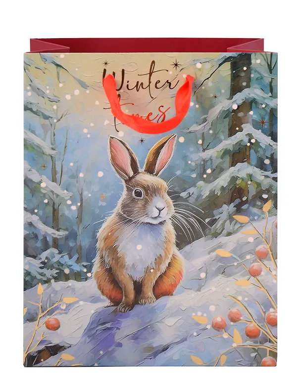 Пакет А5 23*18*10 "Зайка. Winter times" НГ, бум.мат.ламинат 3103113 — 4