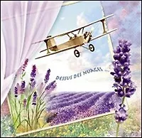 Наб. салф. для декупажа Самолет над лавандовым полем (851189/BDL) (2шт) (упаковка)