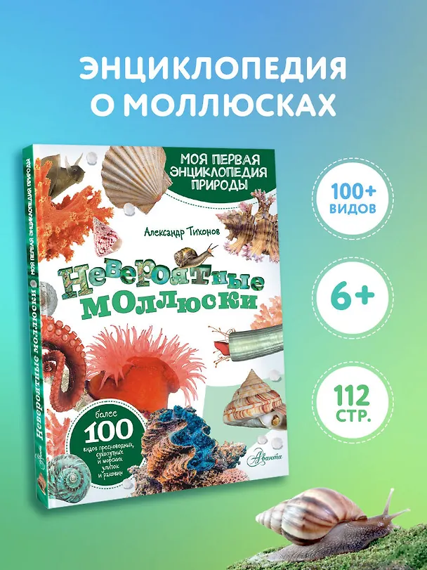 Книга Моллюски, кораллы, морские звезды, морские ежи (Александр Тихонов) — 5