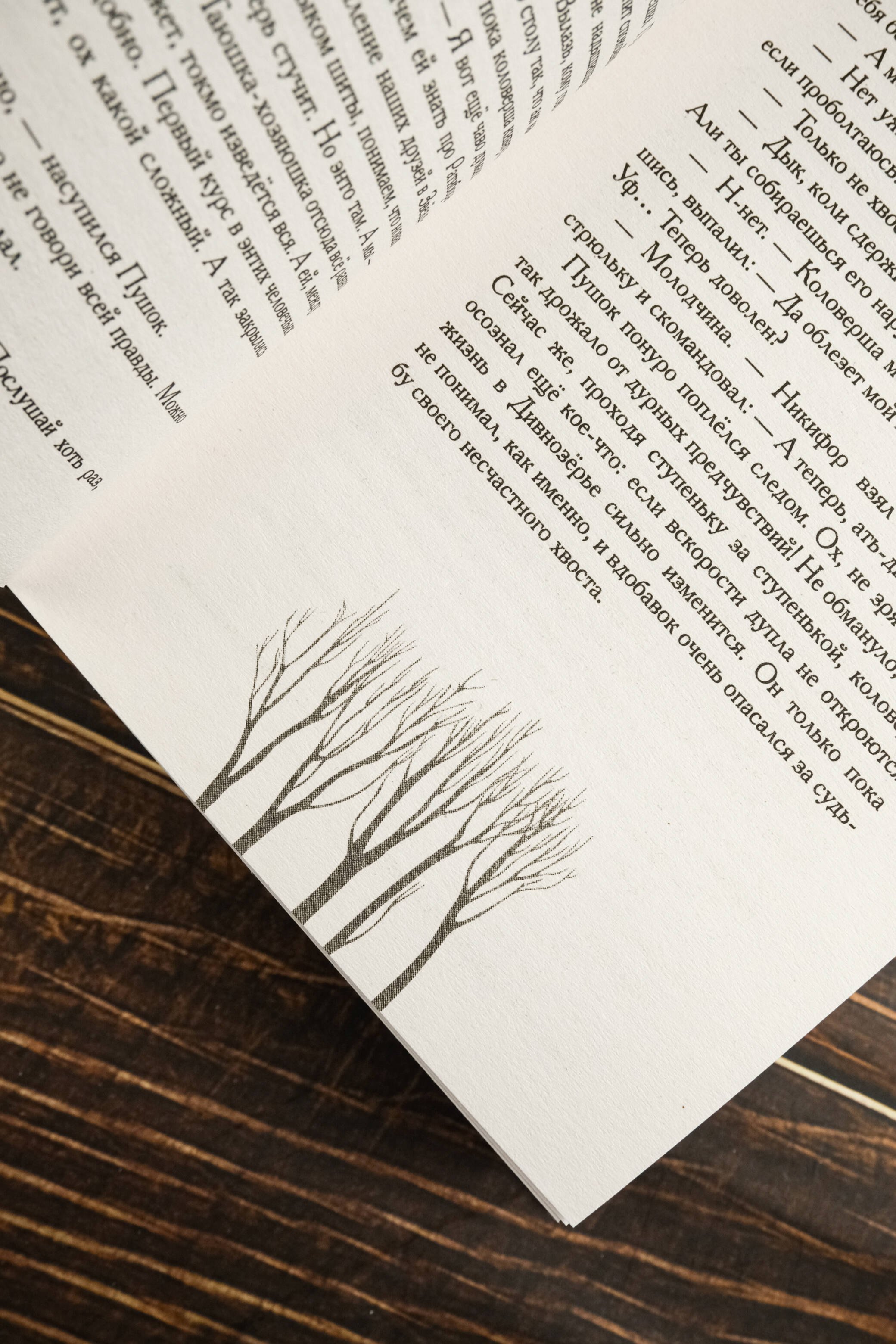 Изображение бумажной книги