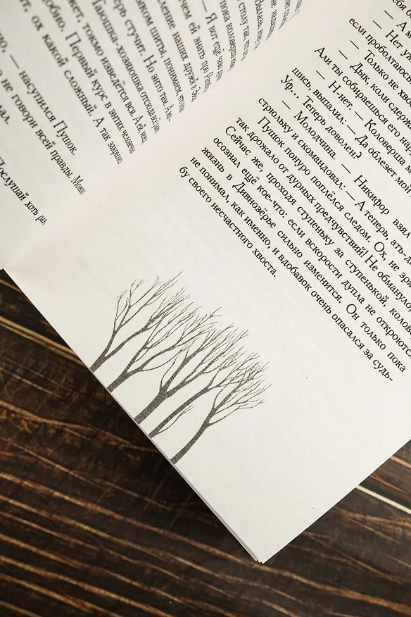 Книга Пути Дивнозёрья (Алан Чароит) — 13