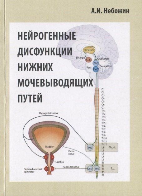 

Нейрогенные дисфункции нижних мочевыводящих путей