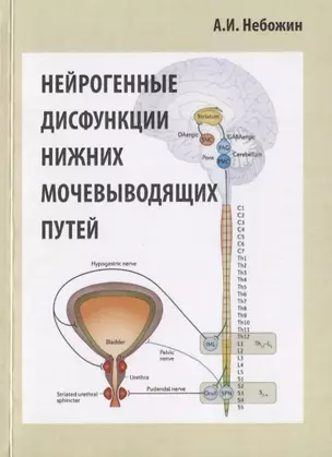 Нейрогенные дисфункции нижних мочевыводящих путей — 2761928 — 1