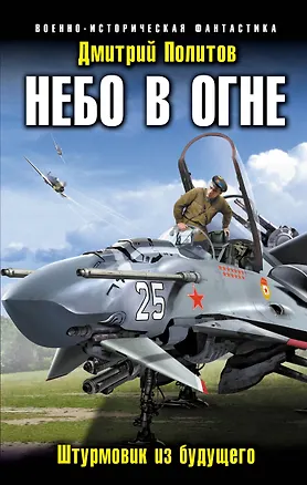 Книга Небо в огне. Штурмовик из будущего (Дмитрий Политов)