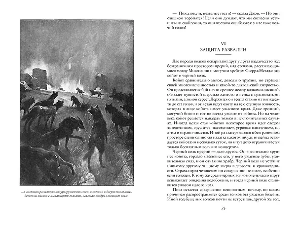 Книга На Дальнем Западе. Охотница за скальпами. Смертельные враги (Эмилио Сальгари) — 7