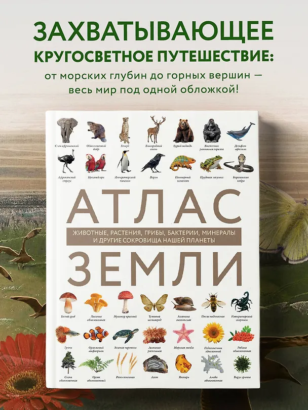 Книга Атлас Земли. Животные, растения, грибы, бактерии, минералы и другие сокровища нашей планеты (Регина Михайлова) — 7