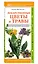 Лекарственные цветы и травы. Наглядный карманный определитель — 2657179 — 2