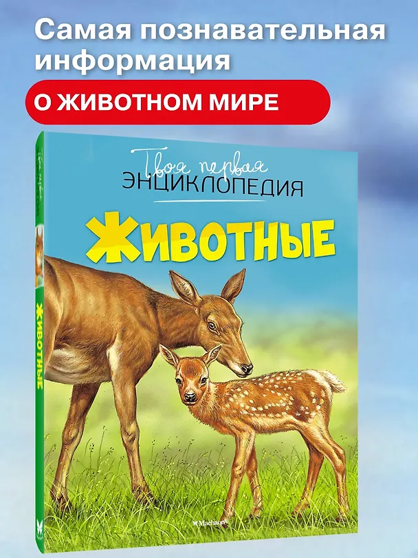 Книга Животные (Эмили Бомон) — 5