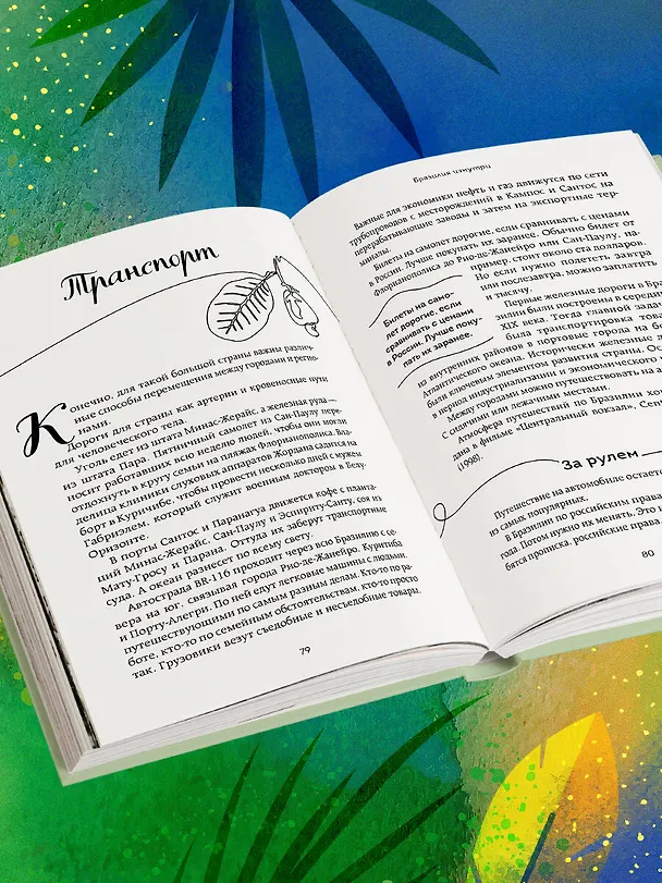 Книга Бразилия изнутри. Как на самом деле живут в жаркой стране карнавалов? (Мария Благушина) — 13