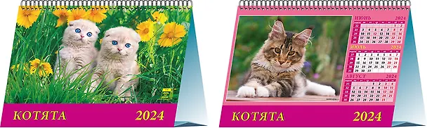 Календарь 2024г 200*140 "Котята" настольный, домик 2998417 — 1