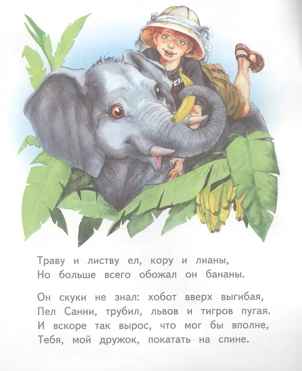 Книга Слонёнок Санни (Владимир Борисов) — 4