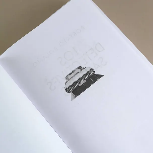 Книга Дикие сыщики (Роберто Боланьо) — 8