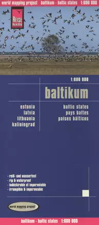 Baltikum — 2517209 — 1