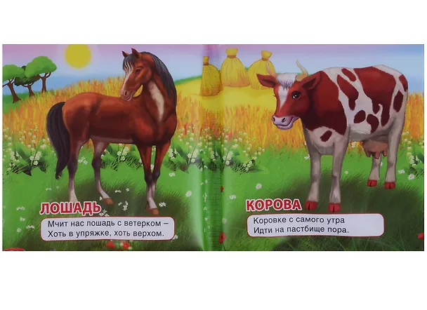 Книга Домашние животные.  книжка-пищалка для ванной () — 3