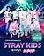 Stray Kids. Фанбук о лидерах K-pop — 3126387 — 1