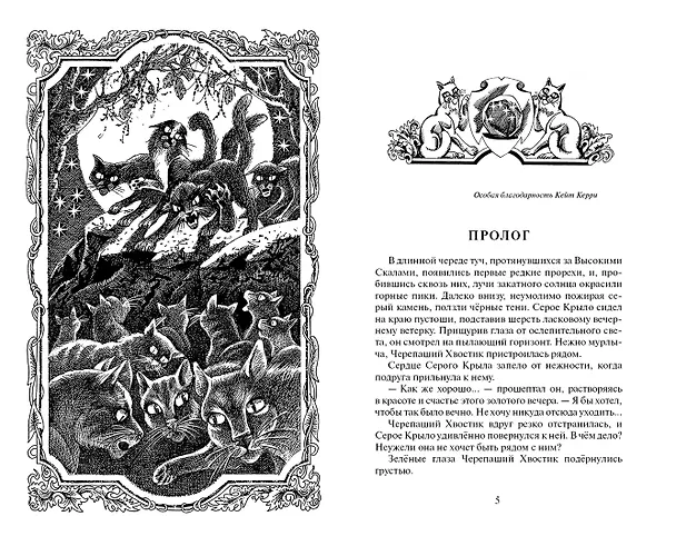 Книга Звёздная тропа (Эрин Хантер) — 2