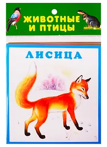 Животные и птицы. Карточки