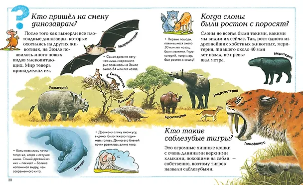 Книга Где, что и когда? Энциклопедия для любознательных (Анита Ганери, Фиона Макдональд, Барбара Тейлор, Аманда О'Нейл, Джеки Гэфф) — 7