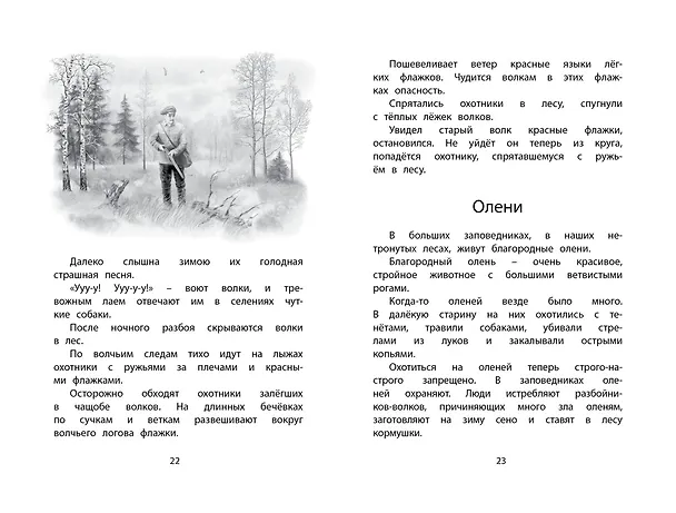 Книга Год в лесу (Иван Соколов-Микитов) — 11