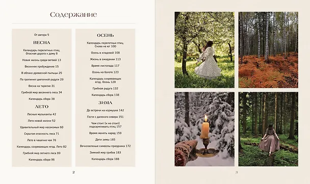 Книга Тайная жизнь леса. Русская природа в фактах и зарисовках (Наталья Савилова) — 4