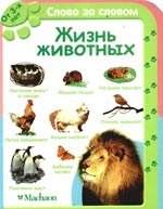 

Жизнь животных