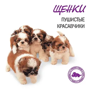 Щенки. Пушистые красавчики