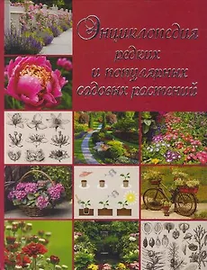 Энциклопедия редких и популярных садовых растений