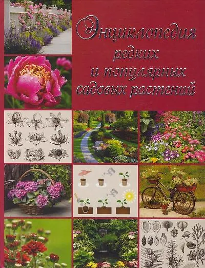 Книга Энциклопедия редких и популярных садовых растений (Ольга Яковлева) — 1