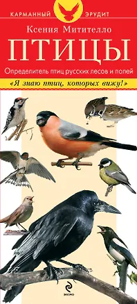 Книга Птицы. Определитель птиц русских лесов и полей (Ксения Митителло)