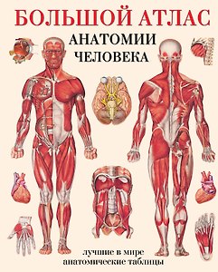 Большой атлас  анатомии человека