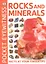 Pocket Eyewitness Rocks and Minerals — 2826128 — 1