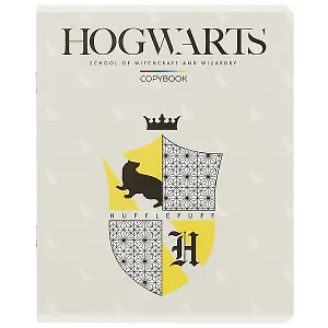 Тетрадь в клетку "Гарри Поттер", 24 листа, в ассортименте