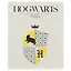 Тетрадь в клетку "Гарри Поттер", 24 листа, в ассортименте — 251132 — 1