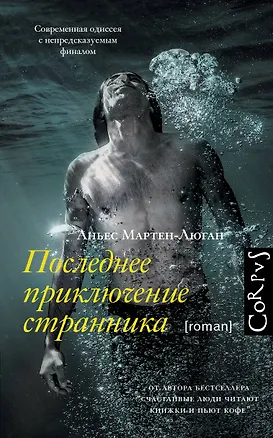 Книга Последнее приключение странника (Аньес Мартен-Люган)