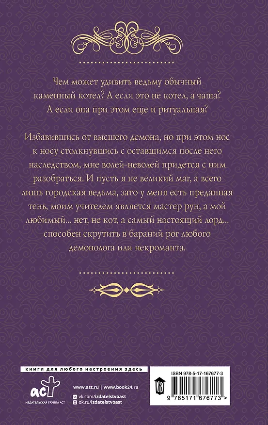 Книга Ведьма, маг и каменный котел (Александра Лисина) — 2