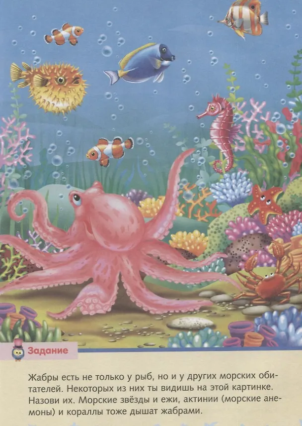 Книга Малышам о море () — 3