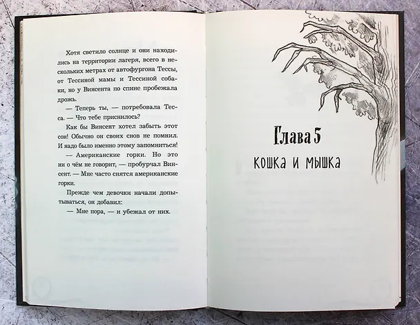 Книга Парк призраков (Барбара Шинко) — 6