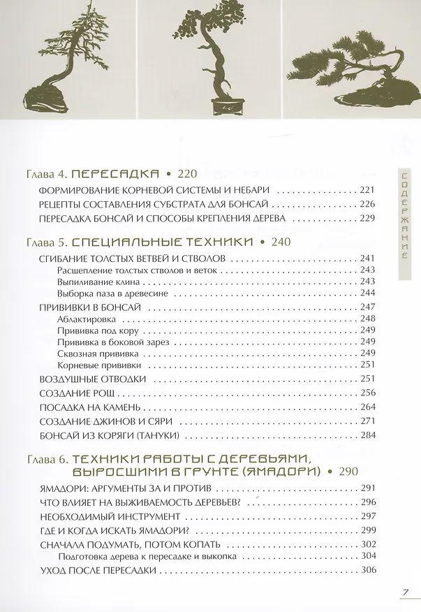 Книга Бонсай. Маленькие деревья для большой радости (Андрей Дарусенков) — 4