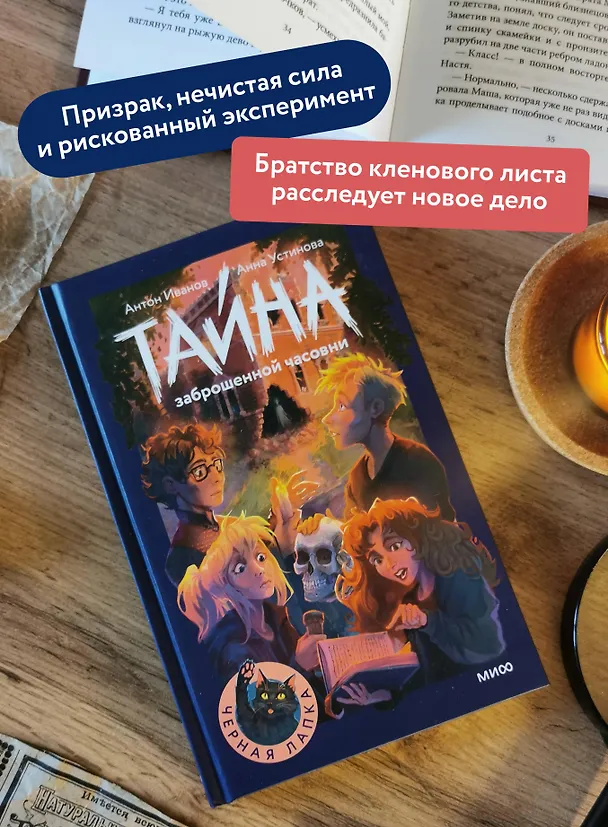 Книга Тайна заброшенной часовни (Антон Иванов, Анна Устинова) — 6