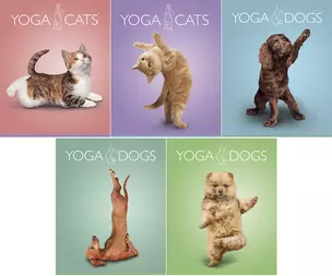 Тетрадь 40л лин. "Yoga Animals" двойн.УФ выб.лак, ассорти, Академия Групп — 226400 — 1