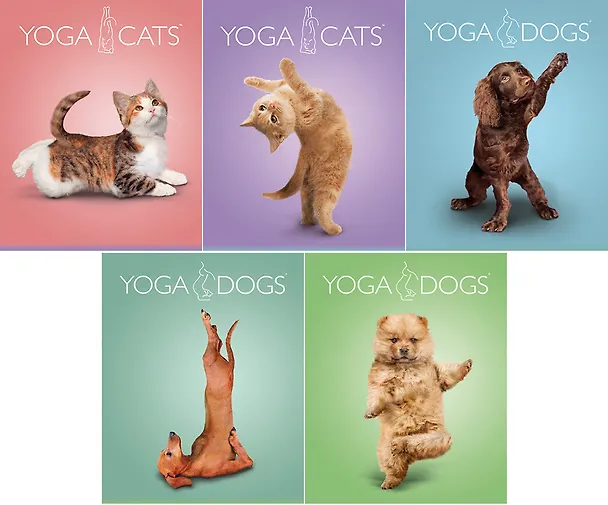 Тетрадь 40л лин. "Yoga Animals" двойн.УФ выб.лак, ассорти, Академия Групп 226400 — 1