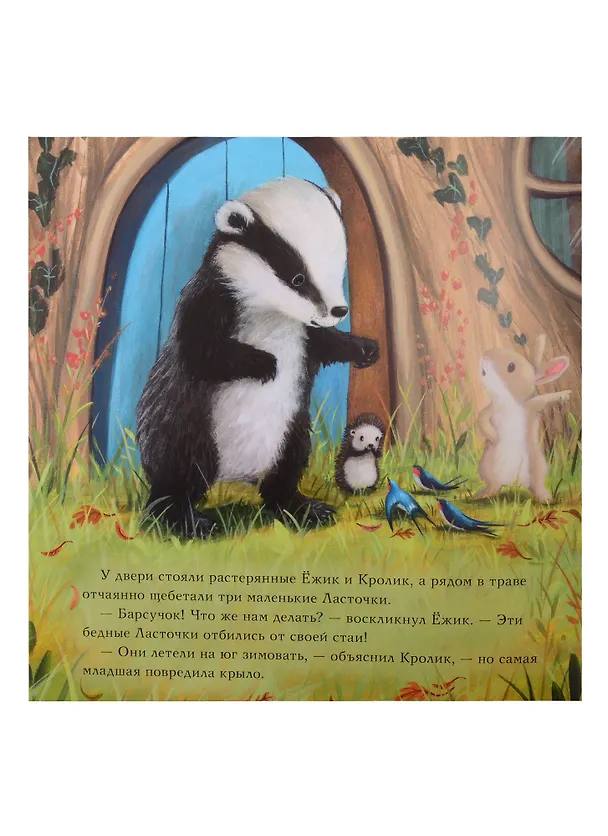 Книга Барсучок и большая птица (Сюзанна Чью) — 4