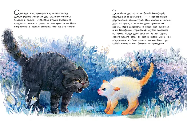 Книга Бонифаций на каникулах (Лада Бакал) — 12