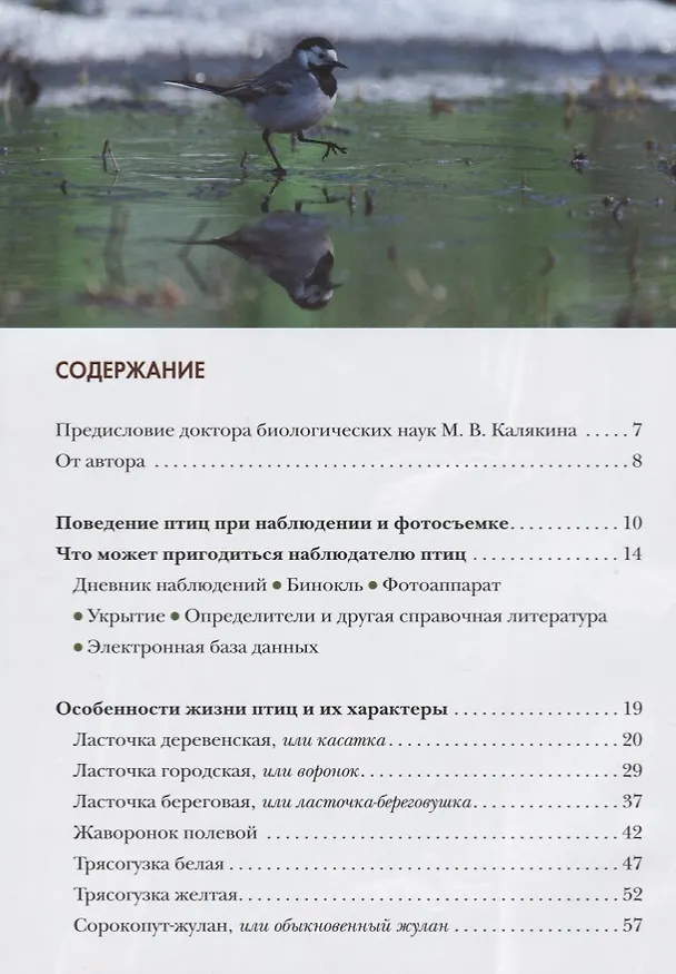 Книга Жизнь и поведение птиц (Василий Вишневский) — 2